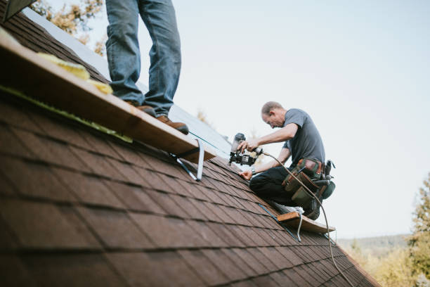 Best Storm Damage Roof Repair  in Mathews, VA