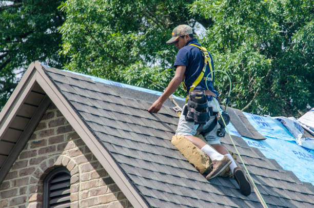 Best Roof Gutter Cleaning  in Mathews, VA